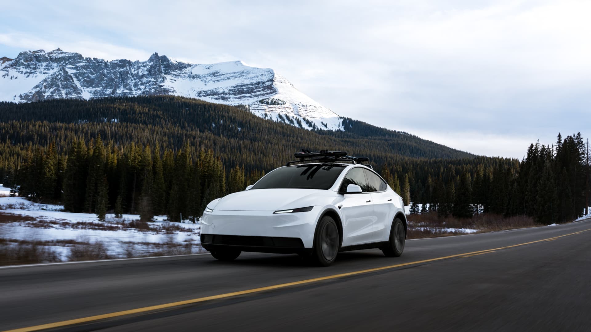Tesla MODEL Y