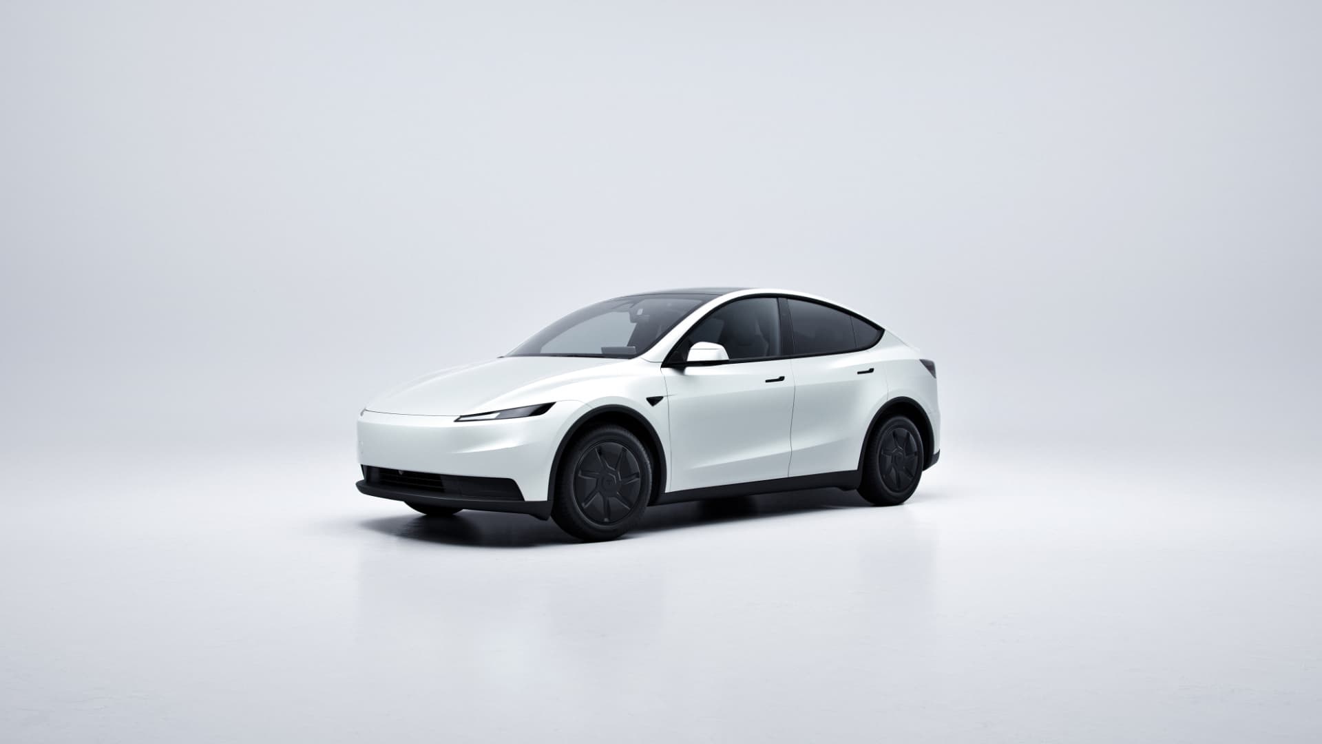 MODEL Y